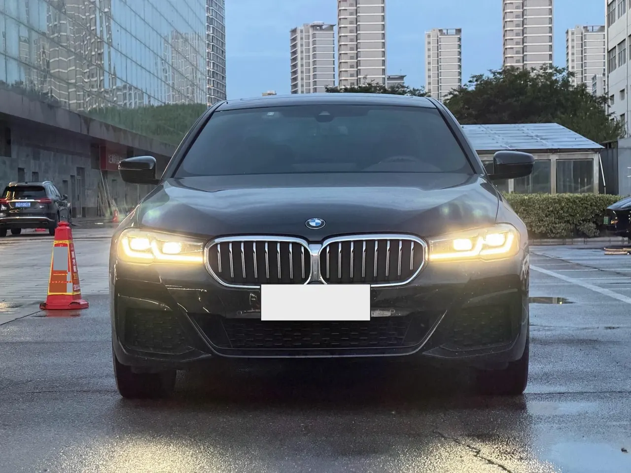 BMW 5 Series 2022 530Li 2.0T Leading M Sports Suit Automatic Gear - View 1
