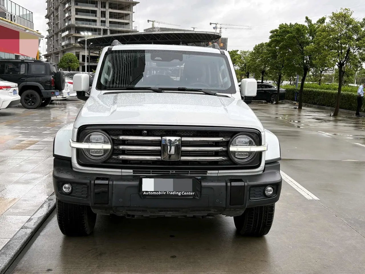 Tank 2024 Tank 300 48V 2.0T Crossing Automatic 2