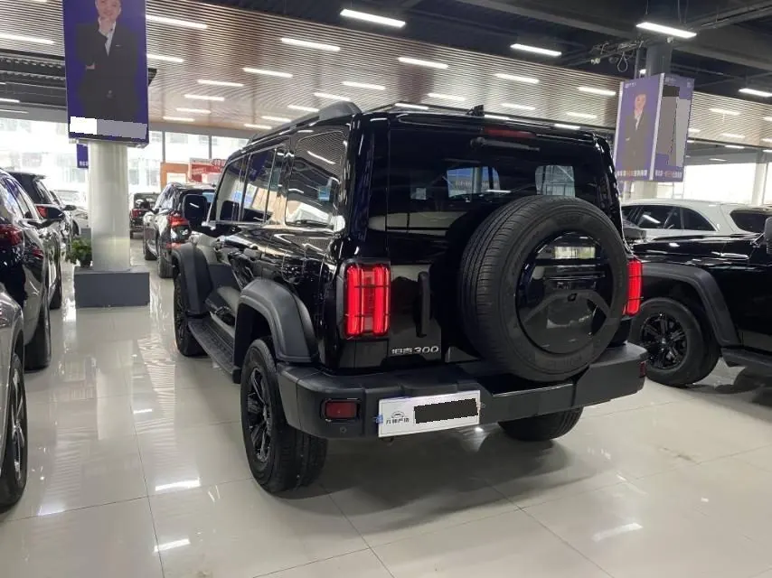 Tank 2021 Tank 300 2.0T Off-road Conqueror Automatic - View 1
