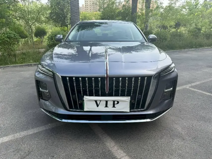HongQi 2025 H5 PHEV 1.5T 170 Super Hybrid Automatic Gear 2
