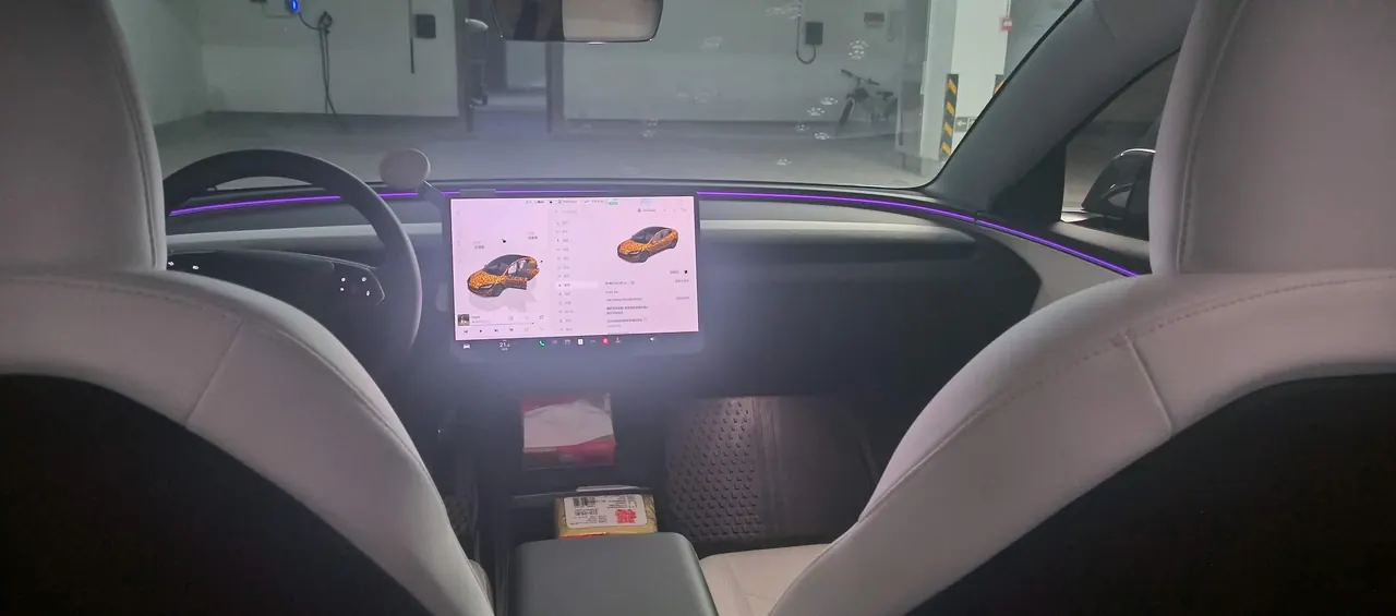 Tesla 2023 Model 3 Rejuvenation Edition Rear Wheel Drive Automatic Transmission 4