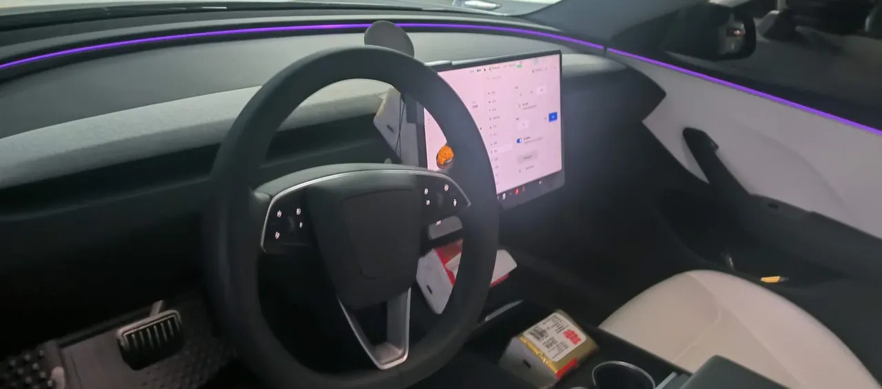 Tesla 2023 Model 3 Rejuvenation Edition Rear Wheel Drive Automatic Transmission 7