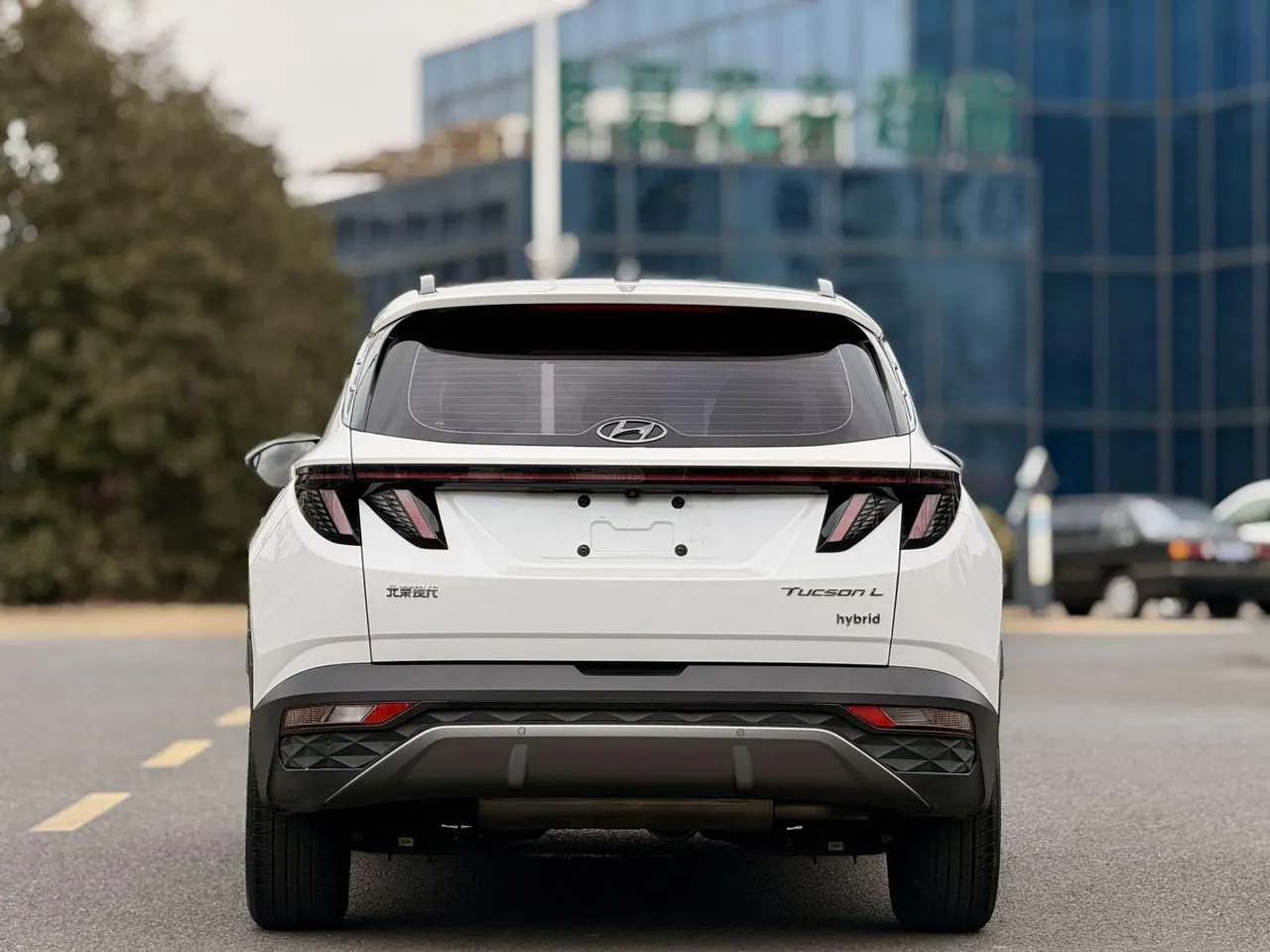 Hyundai 2022 Tousheng L Hybrid 2.0 Premium Edition Automatic Gear 3