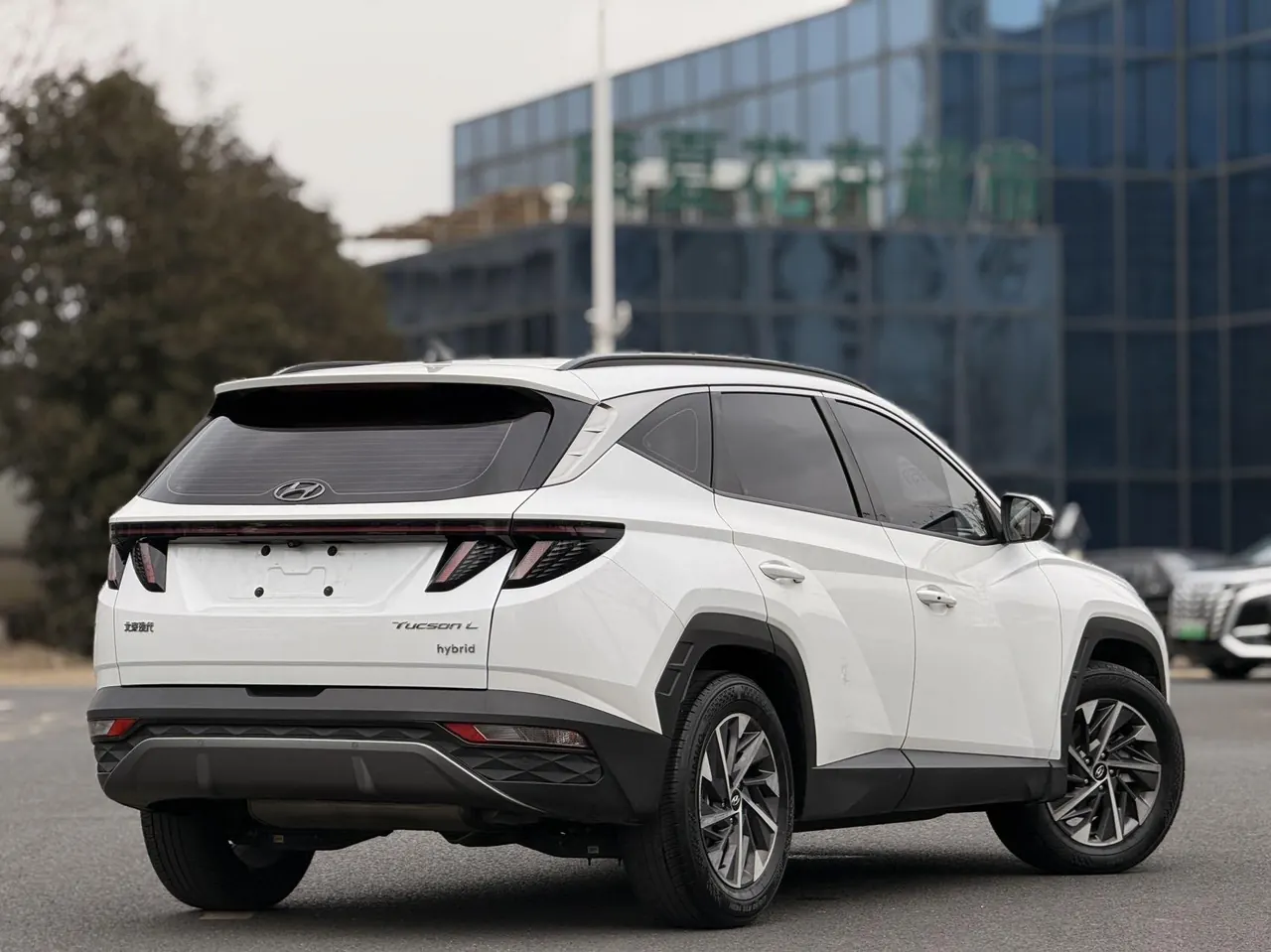 Hyundai 2022 Tousheng L Hybrid 2.0 Premium Edition Automatic Gear 5