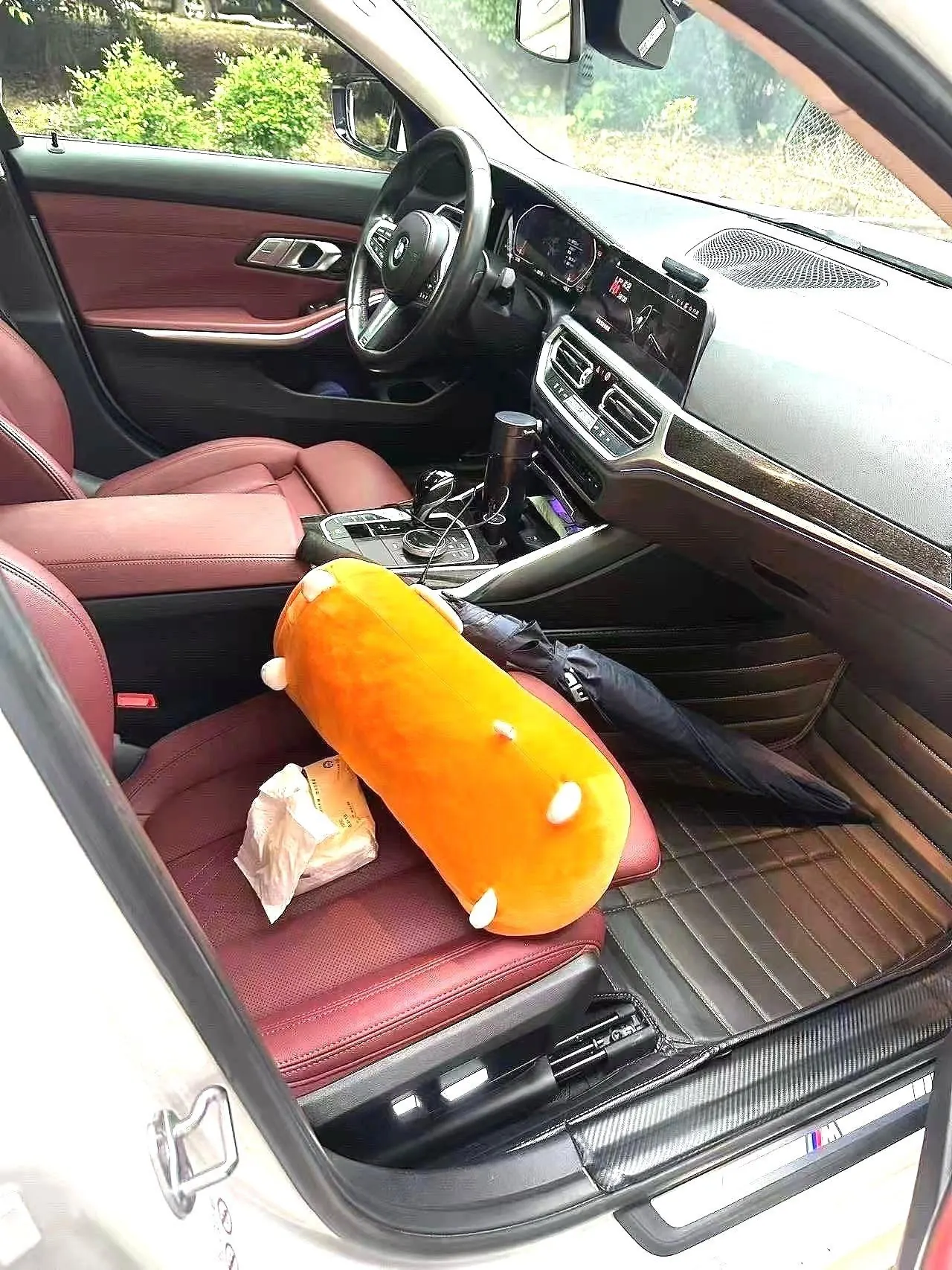 BMW 3 Series 2022 325Li 2.0T M Sports Suit (Modified) Automatic Gear 3