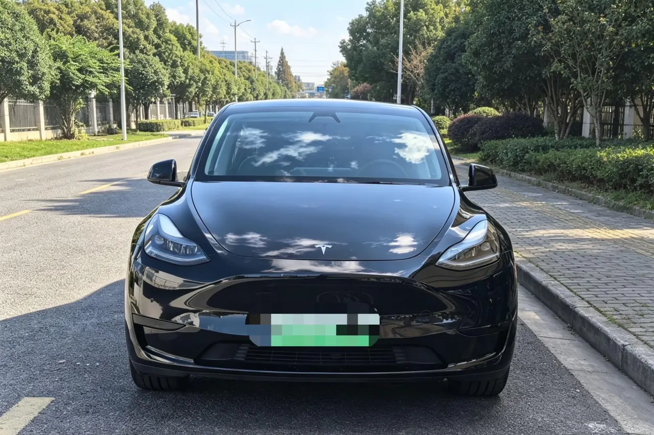 Tesla 2022 Model Y rear-wheel drive version (facelift) automatic gear 2
