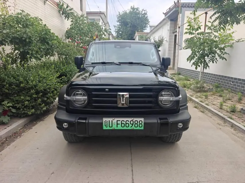 Tank 2025 model Tank 300 Hi4-T 2.0T Hi4-T automatic transmission 2