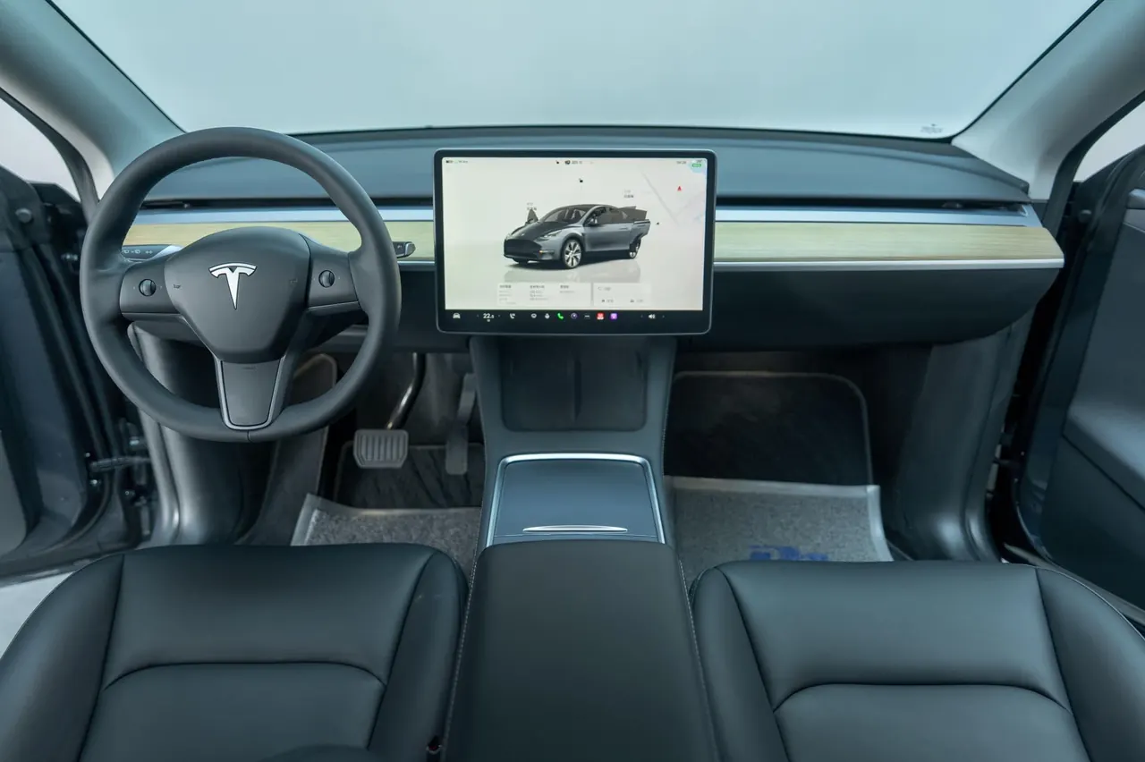 Tesla 2022 Model Y rear-wheel drive version (facelift) automatic gear 10