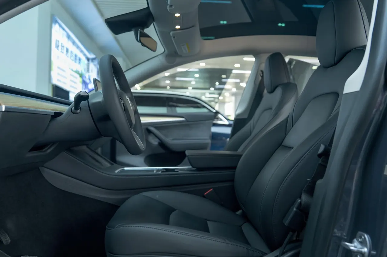 Tesla 2022 Model Y rear-wheel drive version (facelift) automatic gear 11