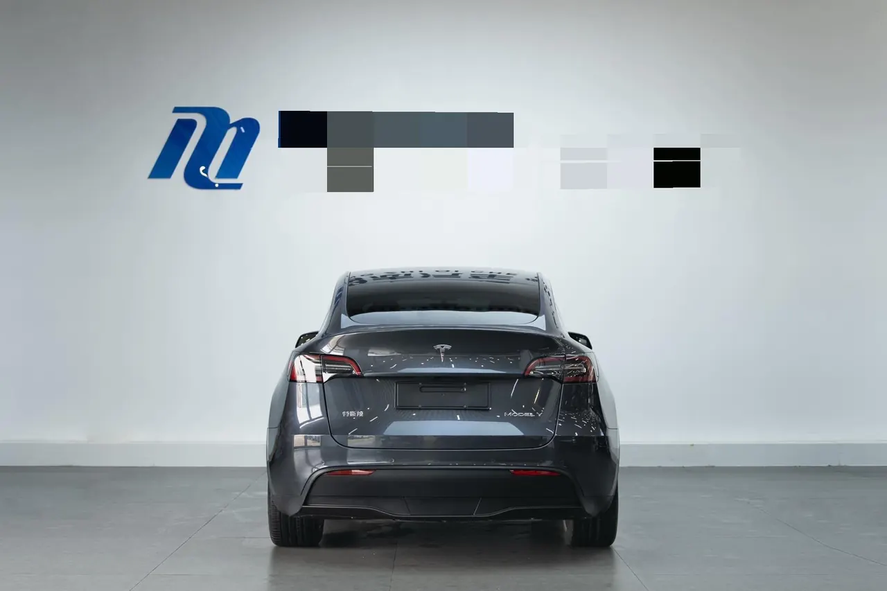 Tesla 2022 Model Y rear-wheel drive version (facelift) automatic gear 6