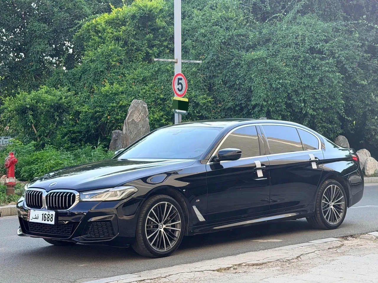 BMW 5 Series 2021 530Li 2.0T Leading M Sports Suit Automatic Gear - View 1