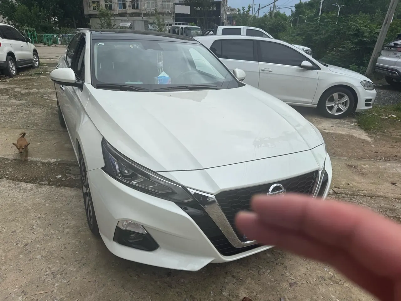 Nissan 2021 Teana 2.0 Stepless XL Comfort Edition Automatic Gear 2