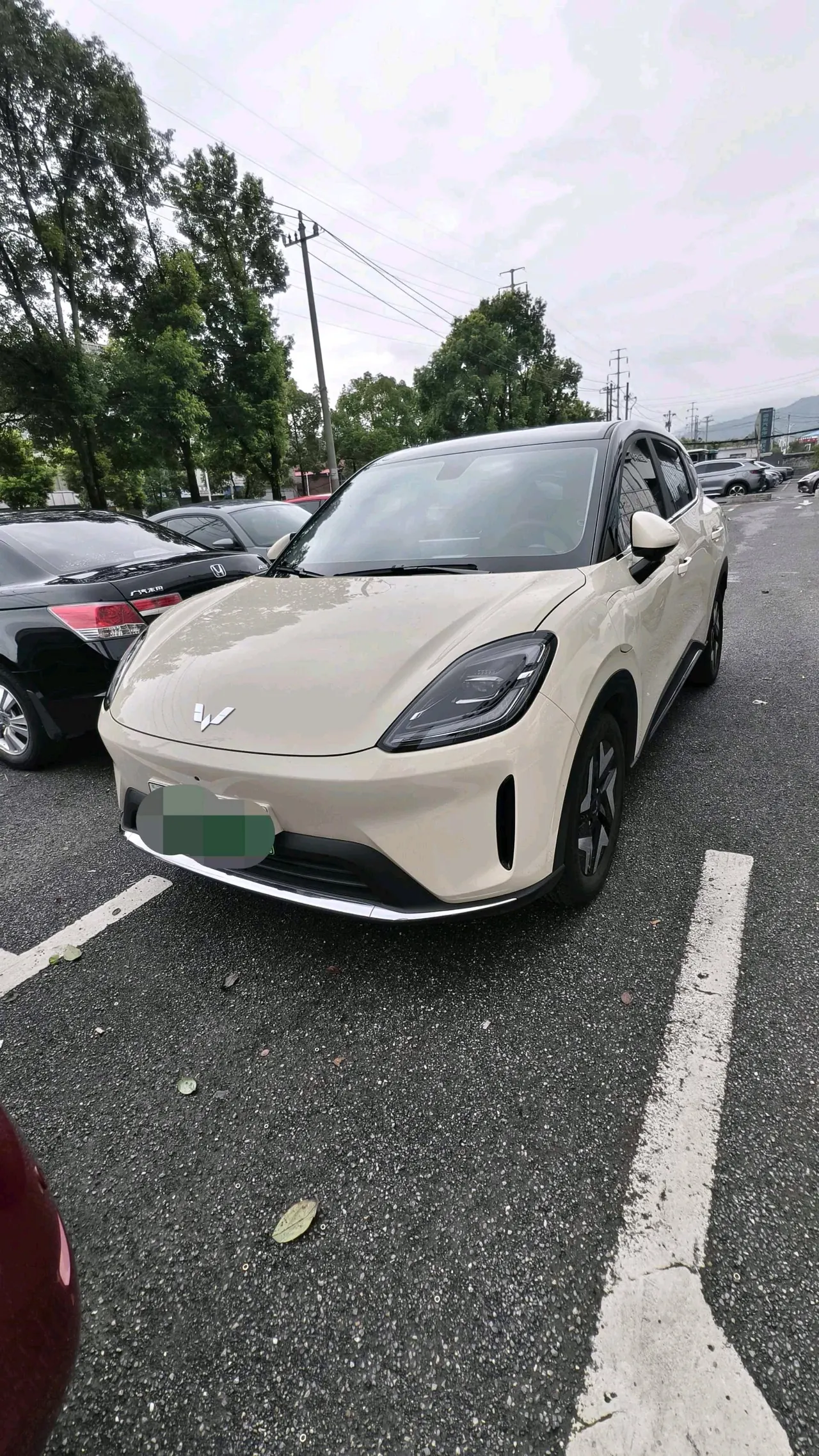 Open image lightbox: WuLing 2025 Plantronics S 430km Flagship Automatic