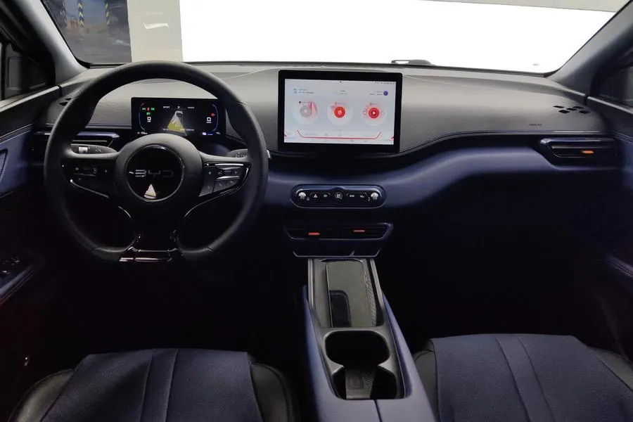 BYD 2025 seagulls 305km dynamic version of automatic gear 5