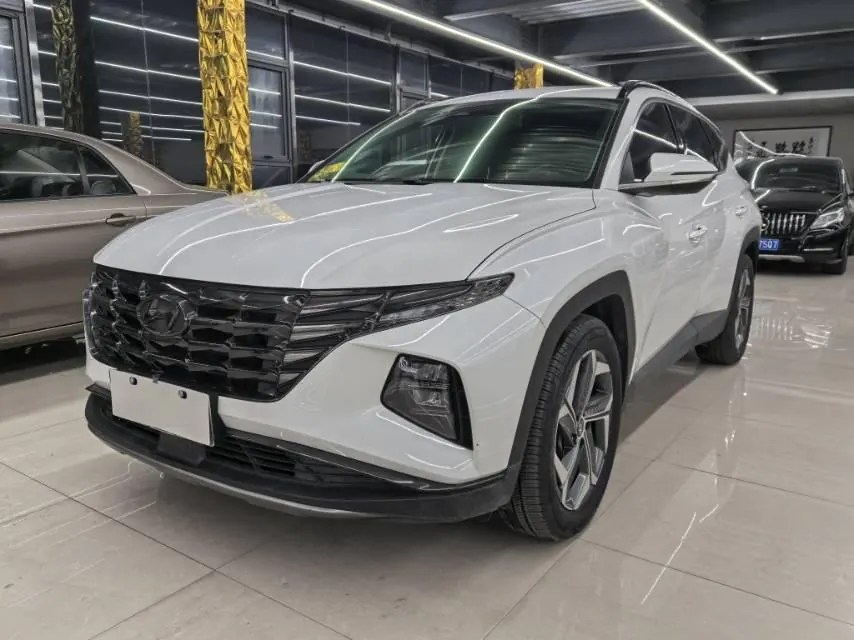 Hyundai 2021 Tousheng L 1.5T LUX Premium Edition Automatic Gear - View 1