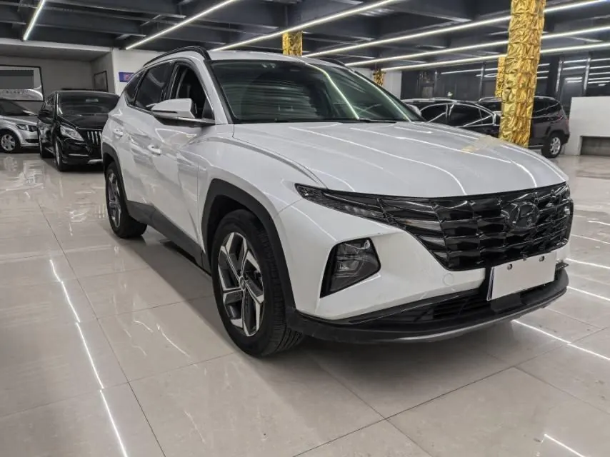 Hyundai 2021 Tousheng L 1.5T LUX Premium Edition Automatic Gear 3