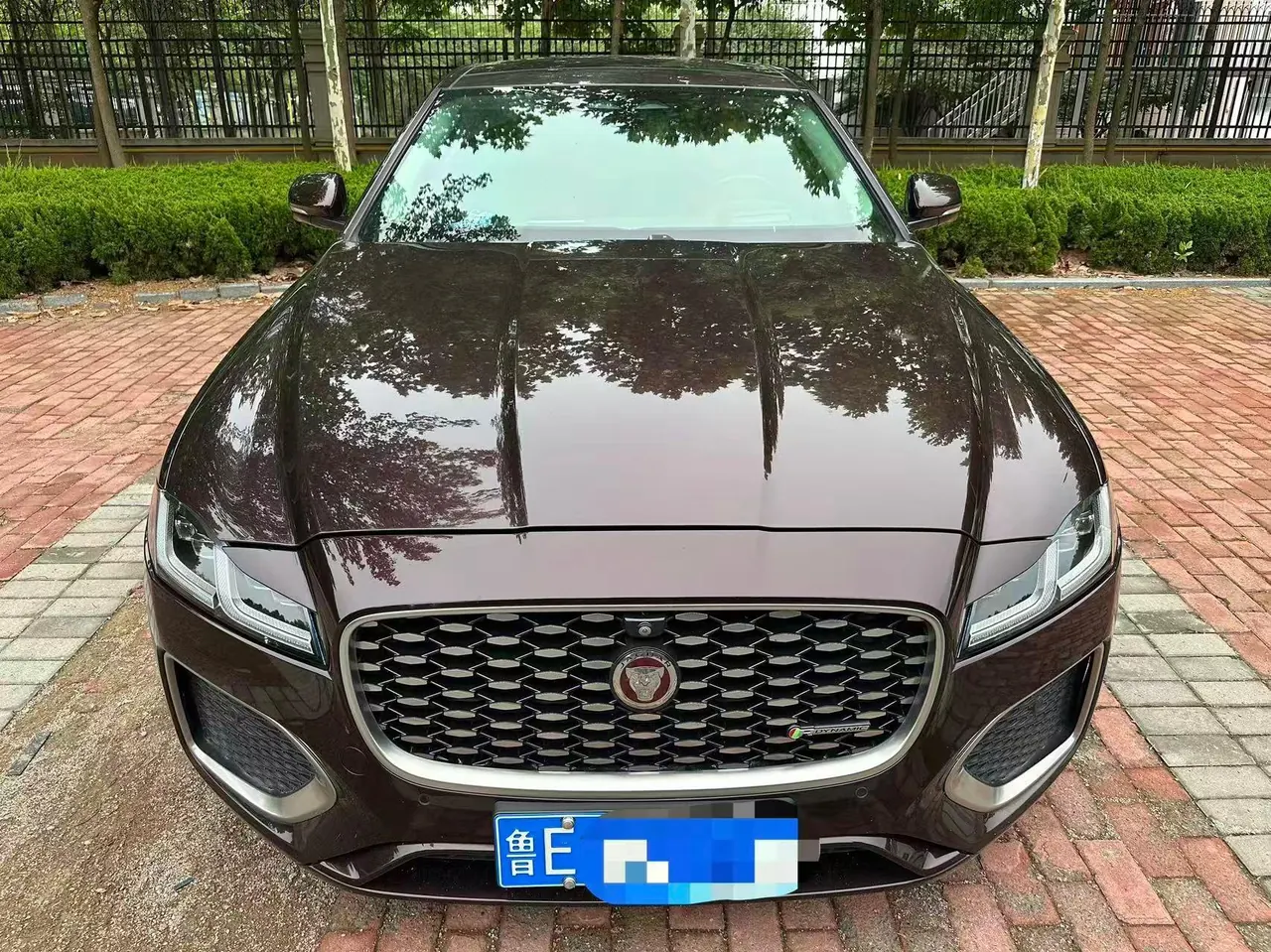 Jaguar 2021 XFL 2.0T P 12500.00g Drive Enjoy Deluxe Edition Automatic Gear 2