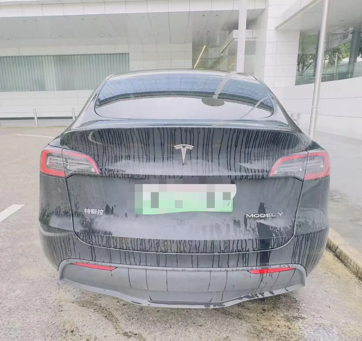 Tesla 2021 Model Y Standard Endurance Rear Drive Automatic Gear 4
