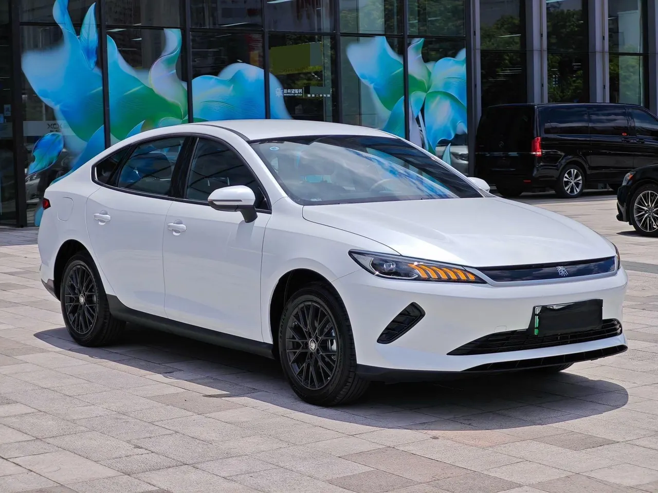 BYD 2025 Qin PLUS EV Intelligent Driving Version 510km Entry-Level Automatic Transmission 3
