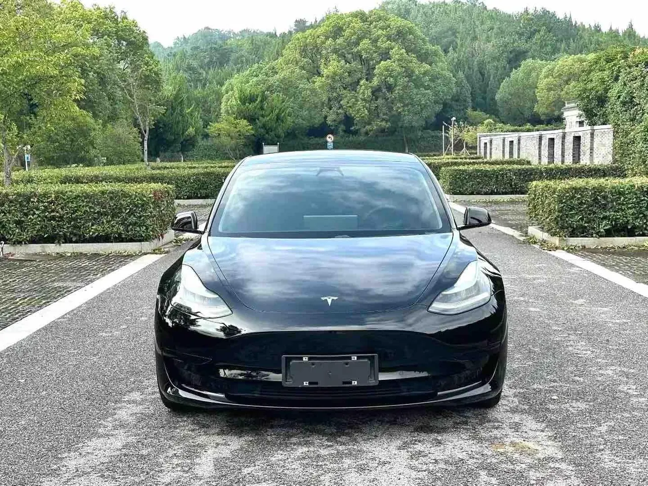 Tesla 2020 Model 3 Standard Endurance Rear Drive Upgrade (Modified) Automatic Gear 2