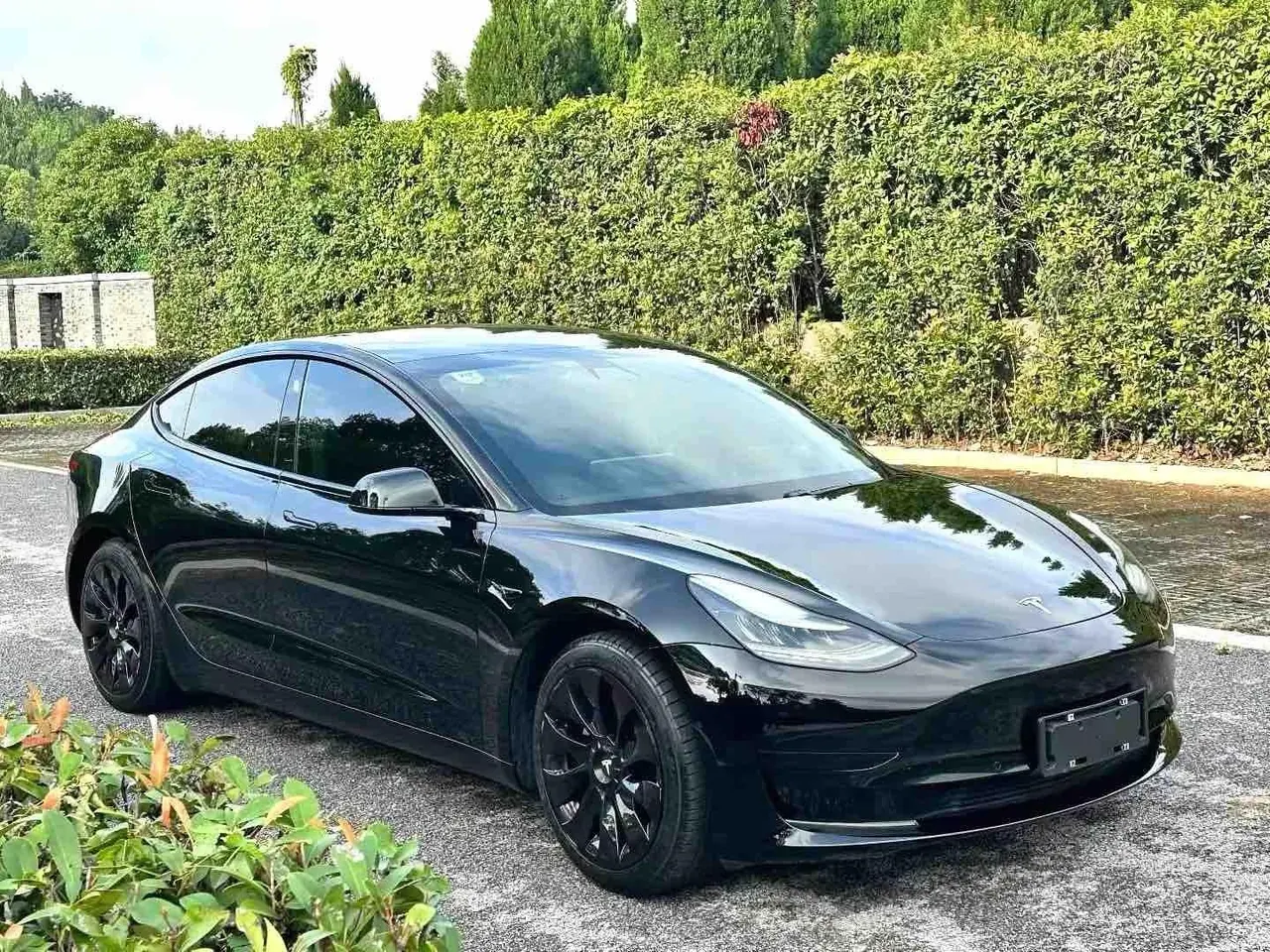 Tesla 2020 Model 3 Standard Endurance Rear Drive Upgrade (Modified) Automatic Gear 3