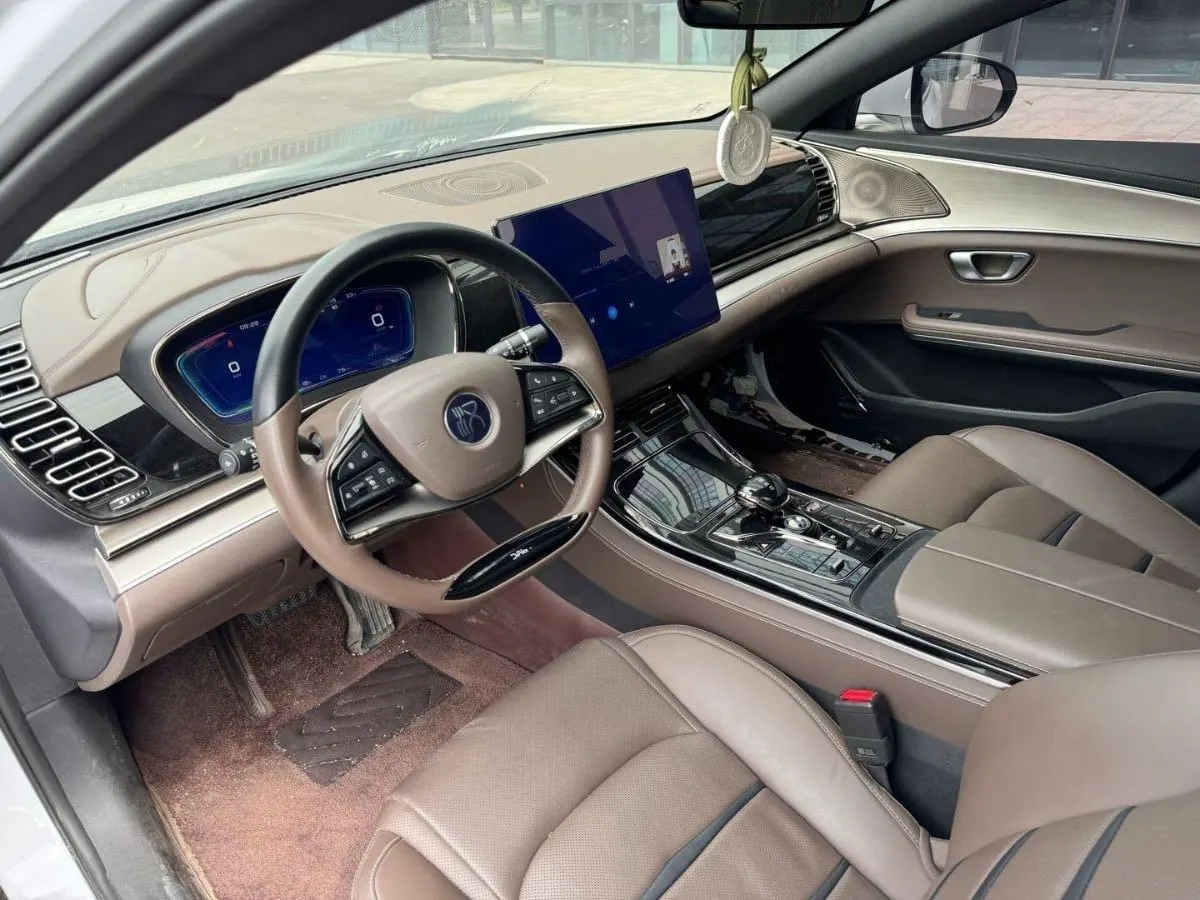 BYD 2021 Chinese Standard Endurance Edition Deluxe Automatic Transmission 10