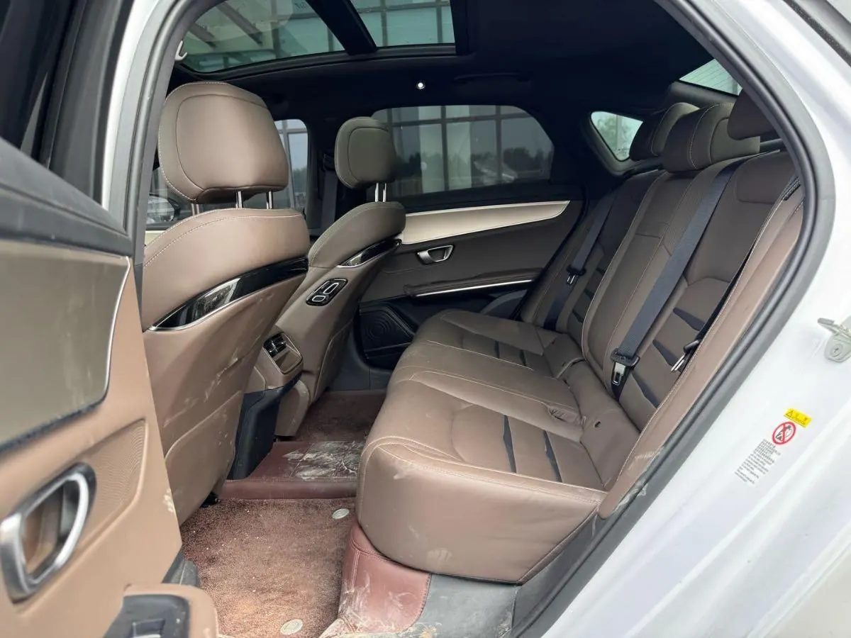 BYD 2021 Chinese Standard Endurance Edition Deluxe Automatic Transmission 12
