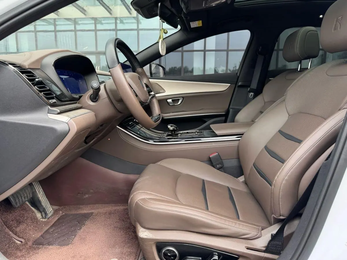 BYD 2021 Chinese Standard Endurance Edition Deluxe Automatic Transmission 7