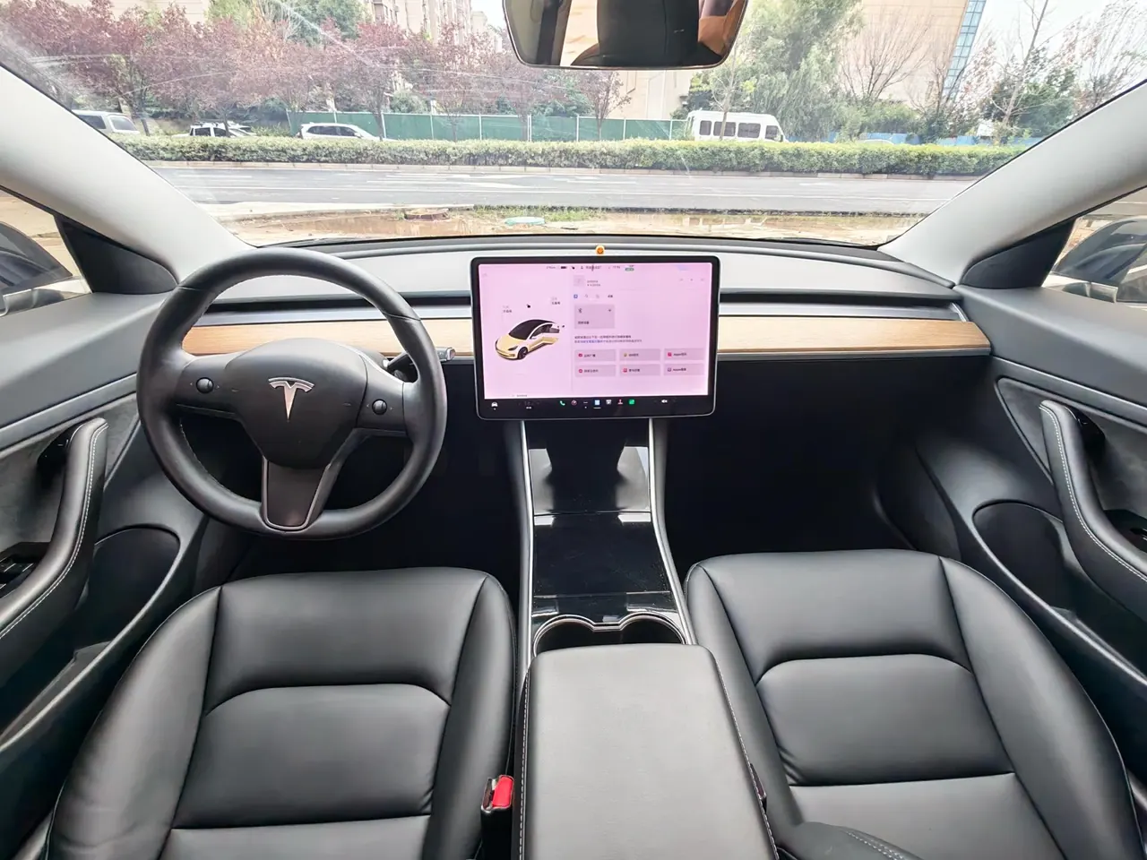 Tesla 2020 Model 3 Standard Endurance Rear Drive Upgraded Automatic Gear 5