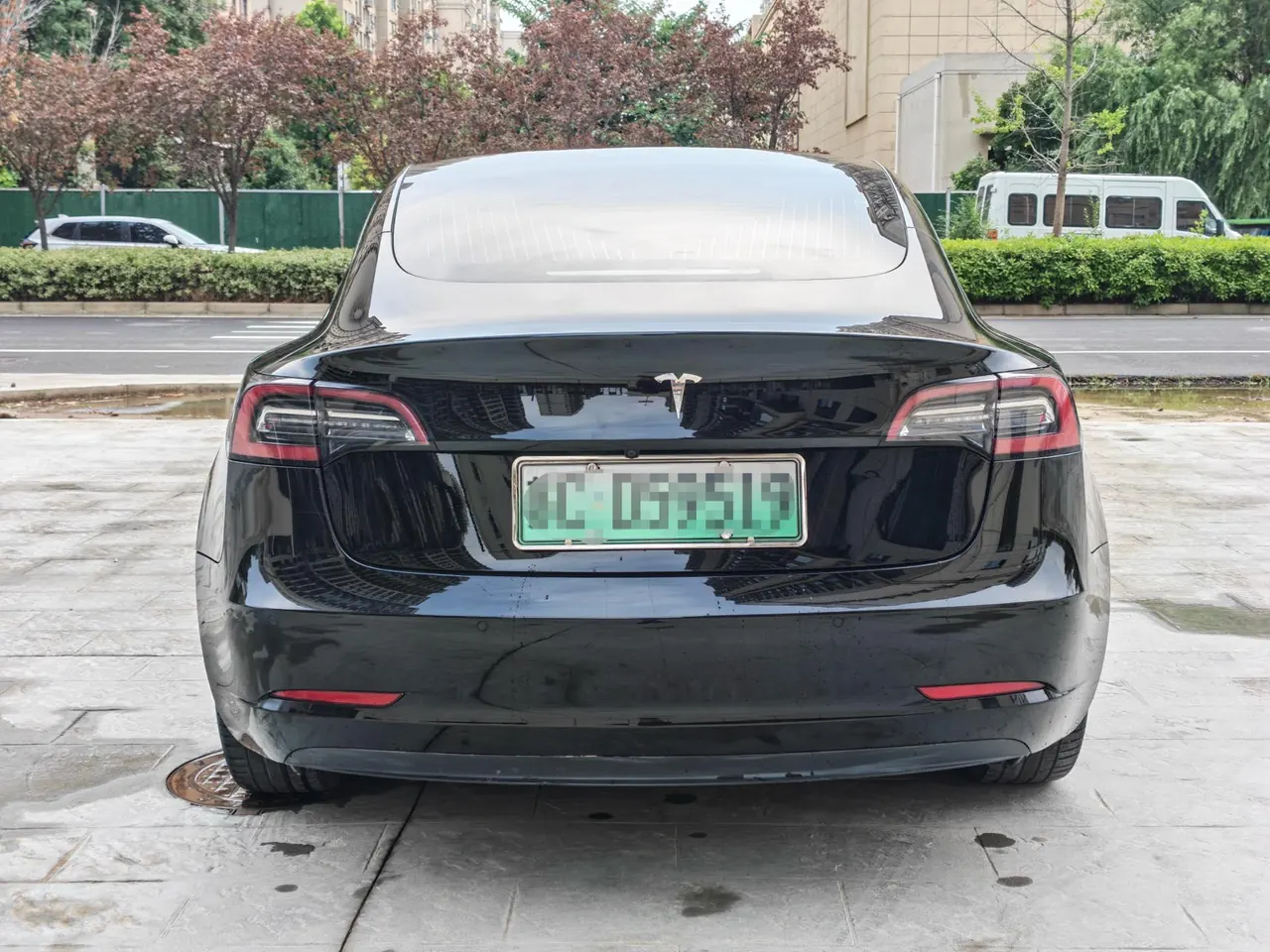 Tesla 2020 Model 3 Standard Endurance Rear Drive Upgraded Automatic Gear 8