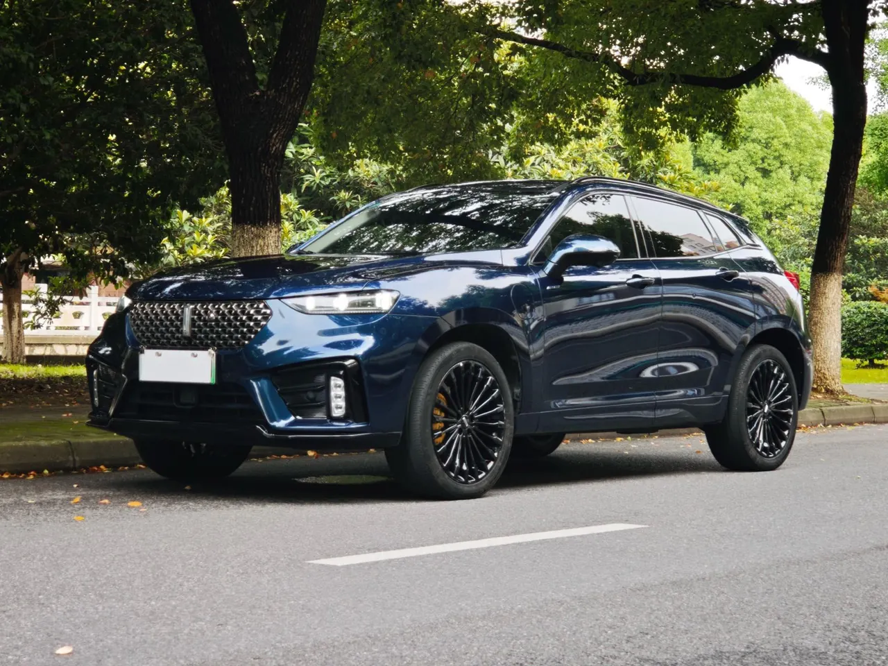 Open image lightbox: WEY VV7 New Energy 2020 VV7 PHEV 2.0T Flagship Automatic Gear