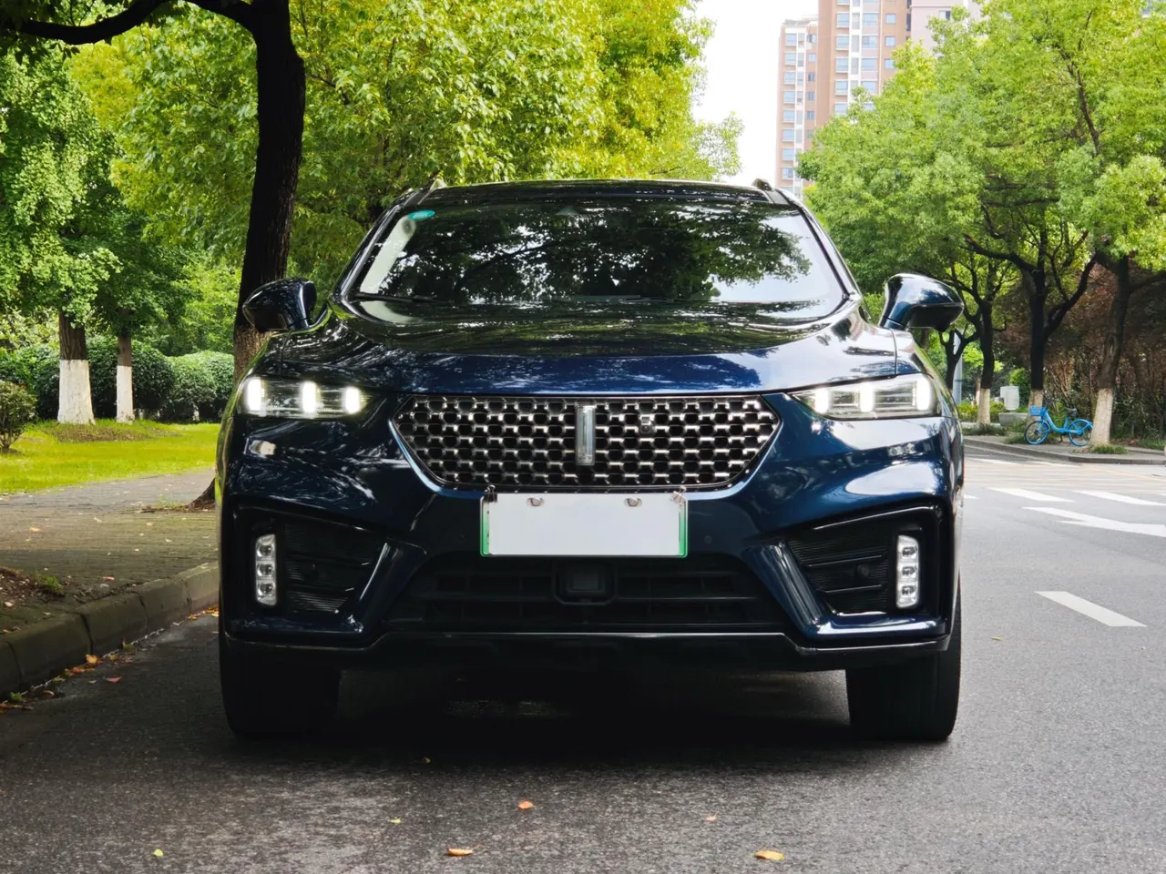 WEY VV7 New Energy 2020 VV7 PHEV 2.0T Flagship Automatic Gear 2