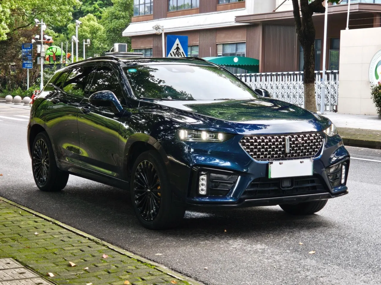 WEY VV7 New Energy 2020 VV7 PHEV 2.0T Flagship Automatic Gear 3