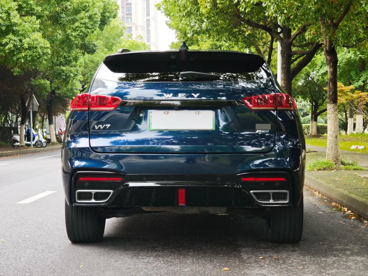 WEY VV7 New Energy 2020 VV7 PHEV 2.0T Flagship Automatic Gear 9