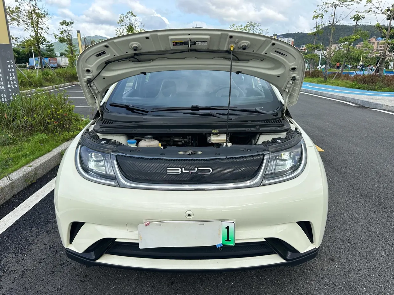 BYD 2021 Dolphin 405km Fashion Edition Automatic 17