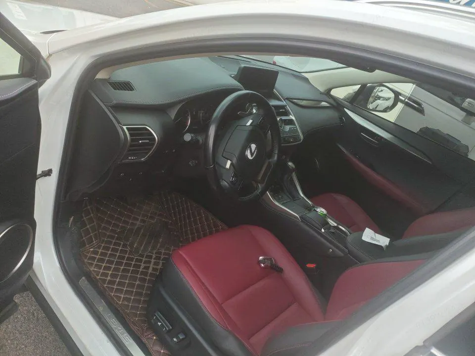 Lexus NX (Imported) 2020 NX200 2.0 Stepless Front Edition Automatic Gear 6