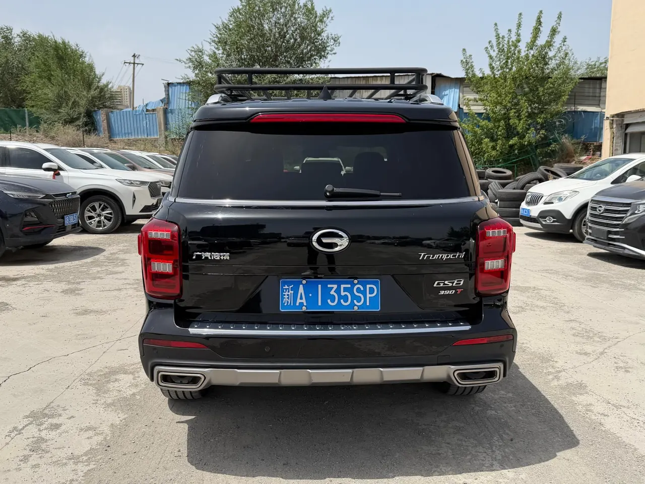 Chuanqi 2020 GS8 2.0T 390T Two-Drive Deluxe Zhilian Commemorative Edition Seven-seat Automatic Gear 9