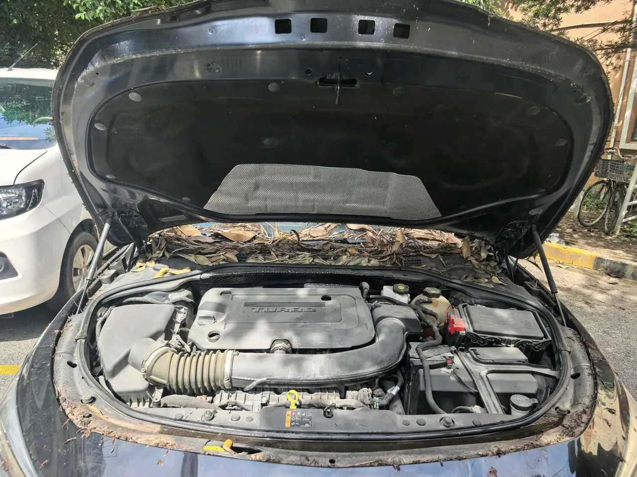 Buick 2020 LaCrosse 2.0T 652T Honorable Automatic 8