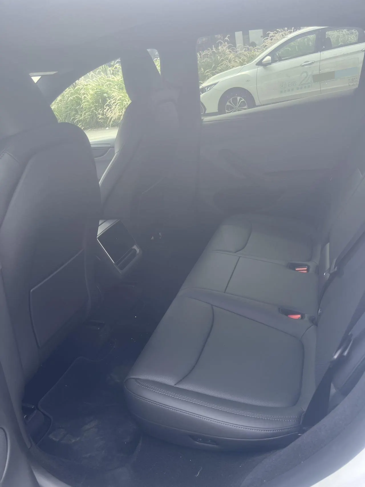 Tesla 2026 Model Y Rear-Wheel-Drive Automatic 5