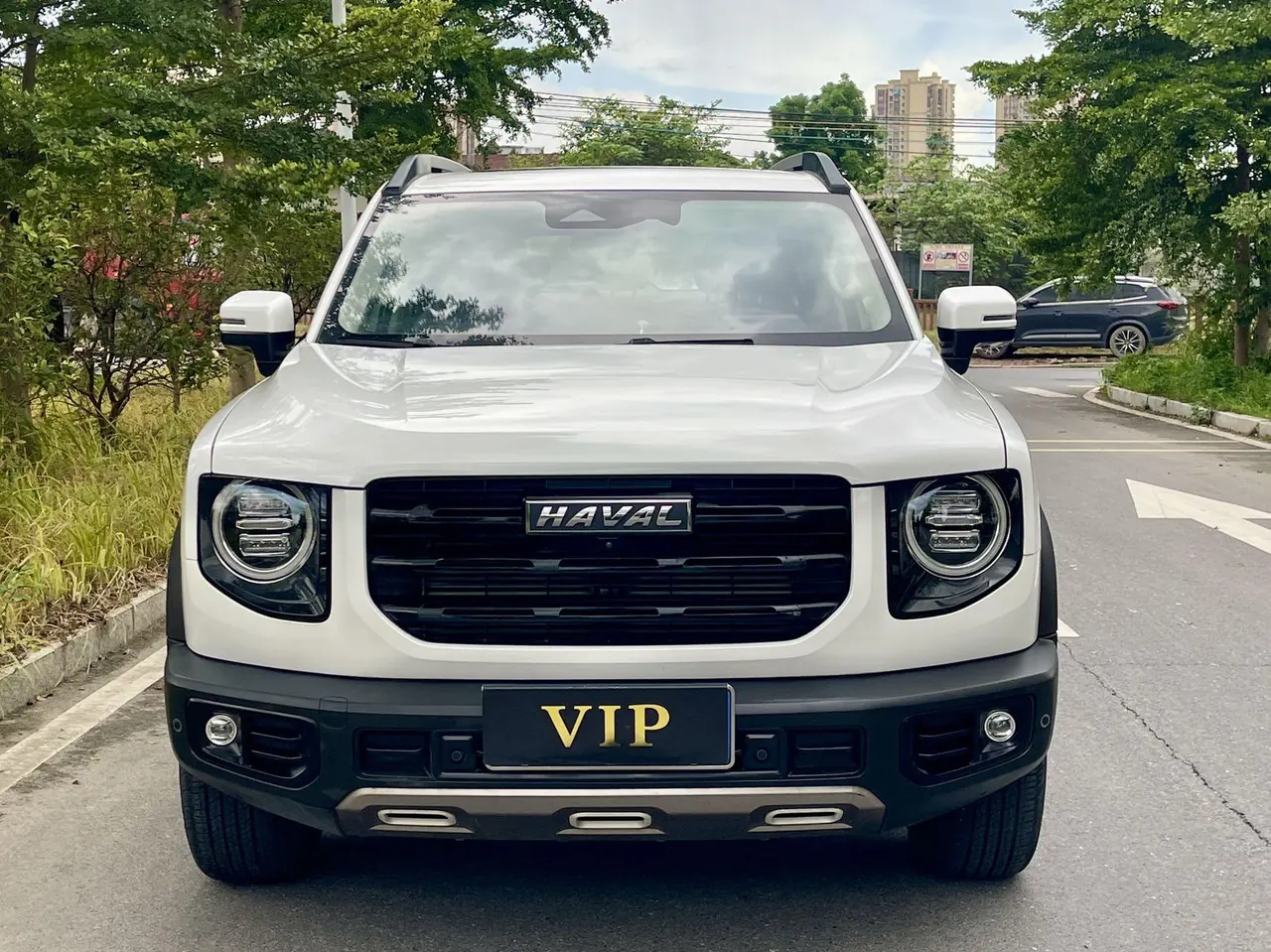 Haval 2020 big dog 1.5T horse dog version automatic gear 2