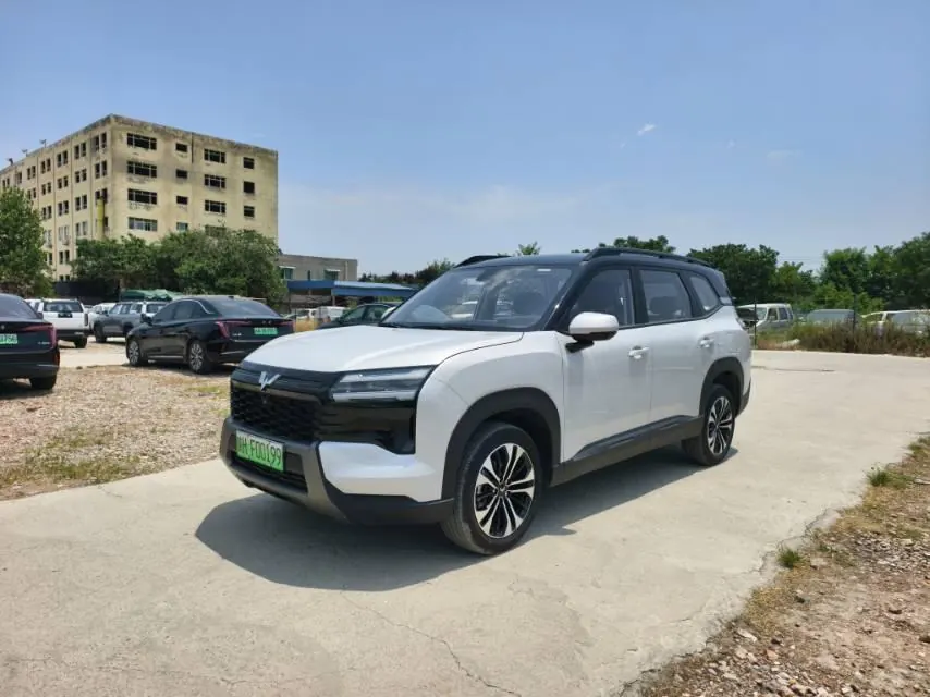 WuLing 2026 Starlight 560 1.5 Stepless 125km Luxury Automatic Transmission - View 1