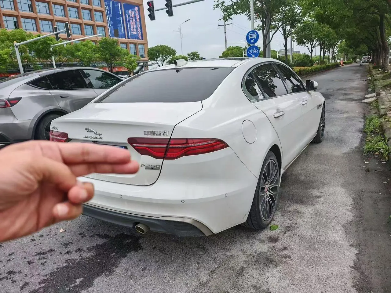 Jaguar 2020 XEL 2.0T 250PS SE Technology Elegant Edition Automatic Gear 3