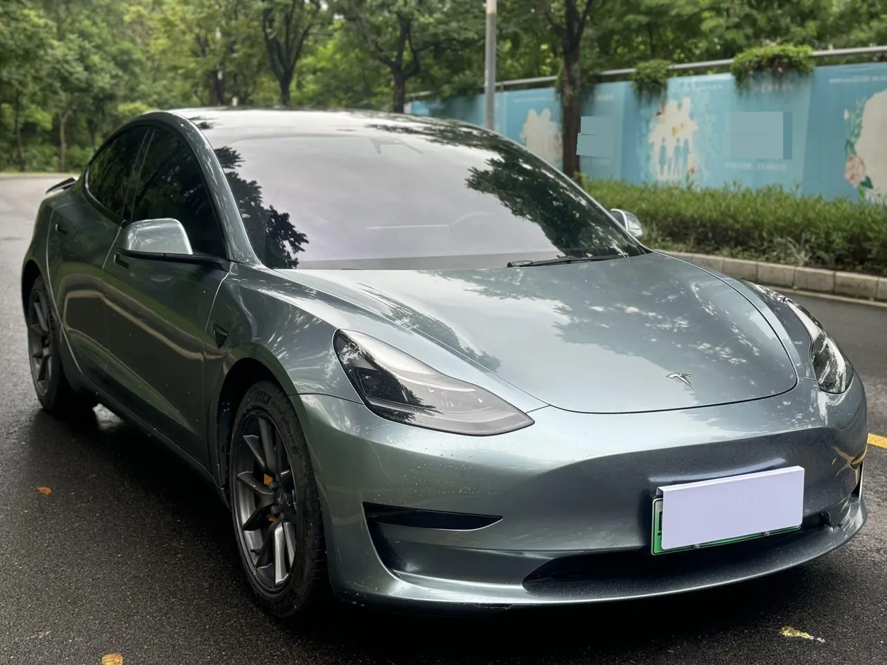 Tesla 2021 Model 3 Standard Endurance Rear Drive Upgraded Automatic Gear 2
