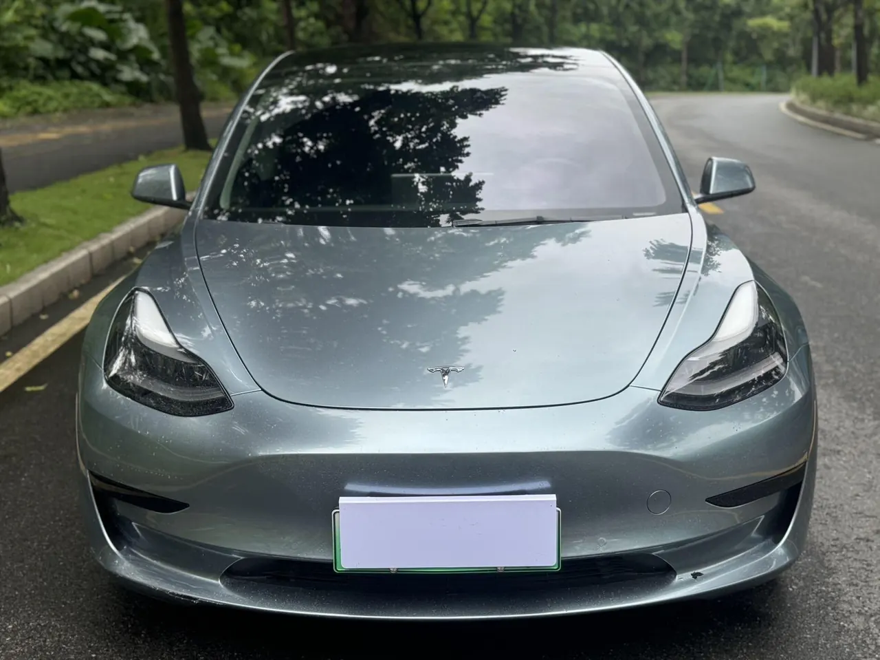 Tesla 2021 Model 3 Standard Endurance Rear Drive Upgraded Automatic Gear 3