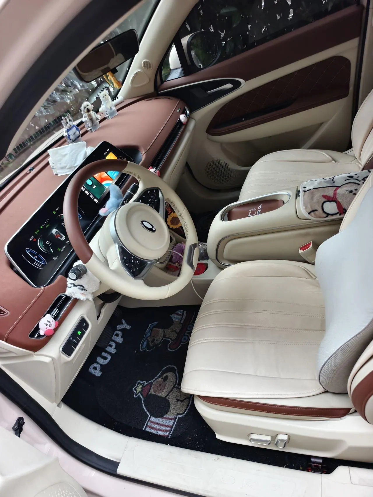 Ora 2023 Good Cat 401km Standard Endurance Luxury Lithium Iron Phosphate Automatic Gear 4