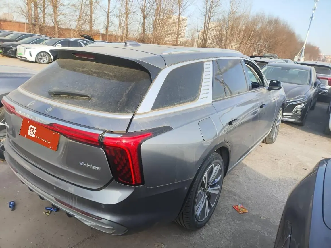 HongQi 2022 E-HS 9 690km Flag Edition 6-seat Automatic Gear 2