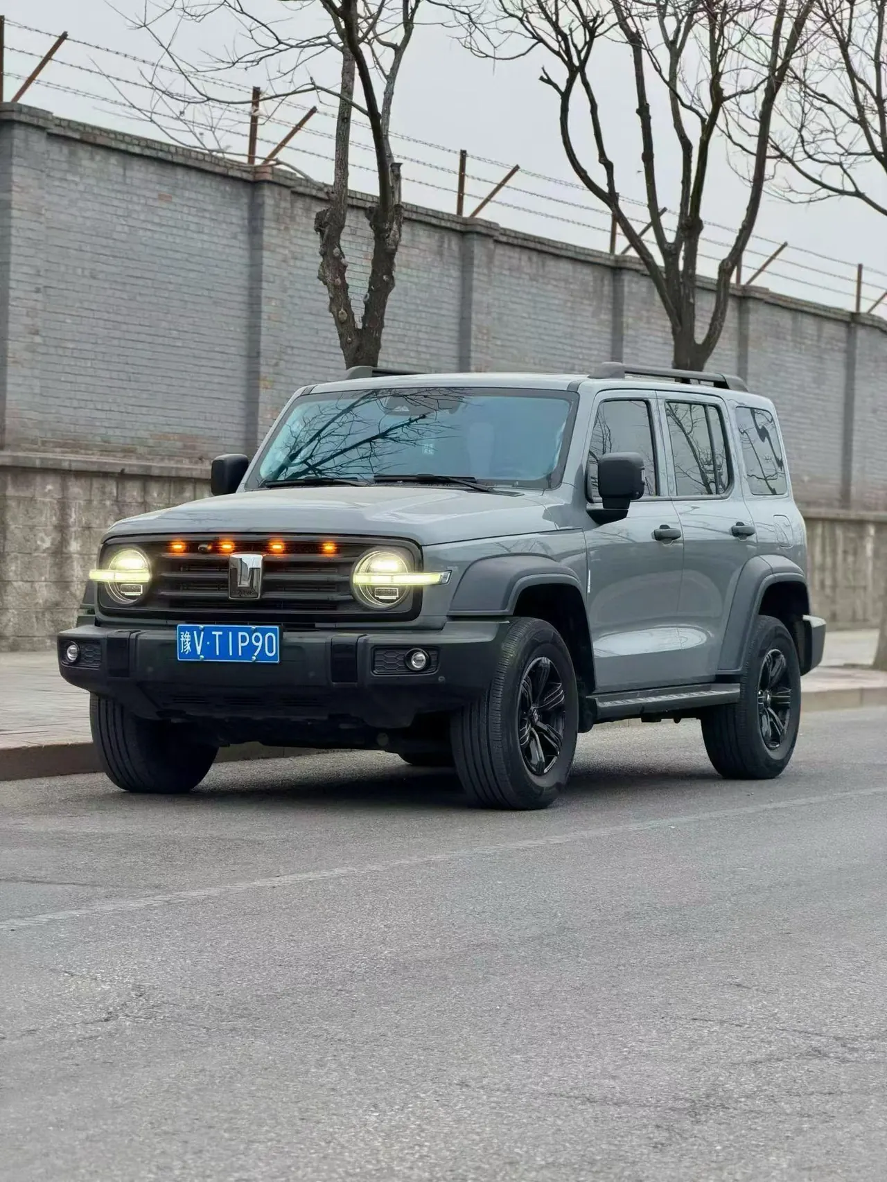 Tank 2023 Tank 300 2.0T Off-road Conqueror Automatic - View 1