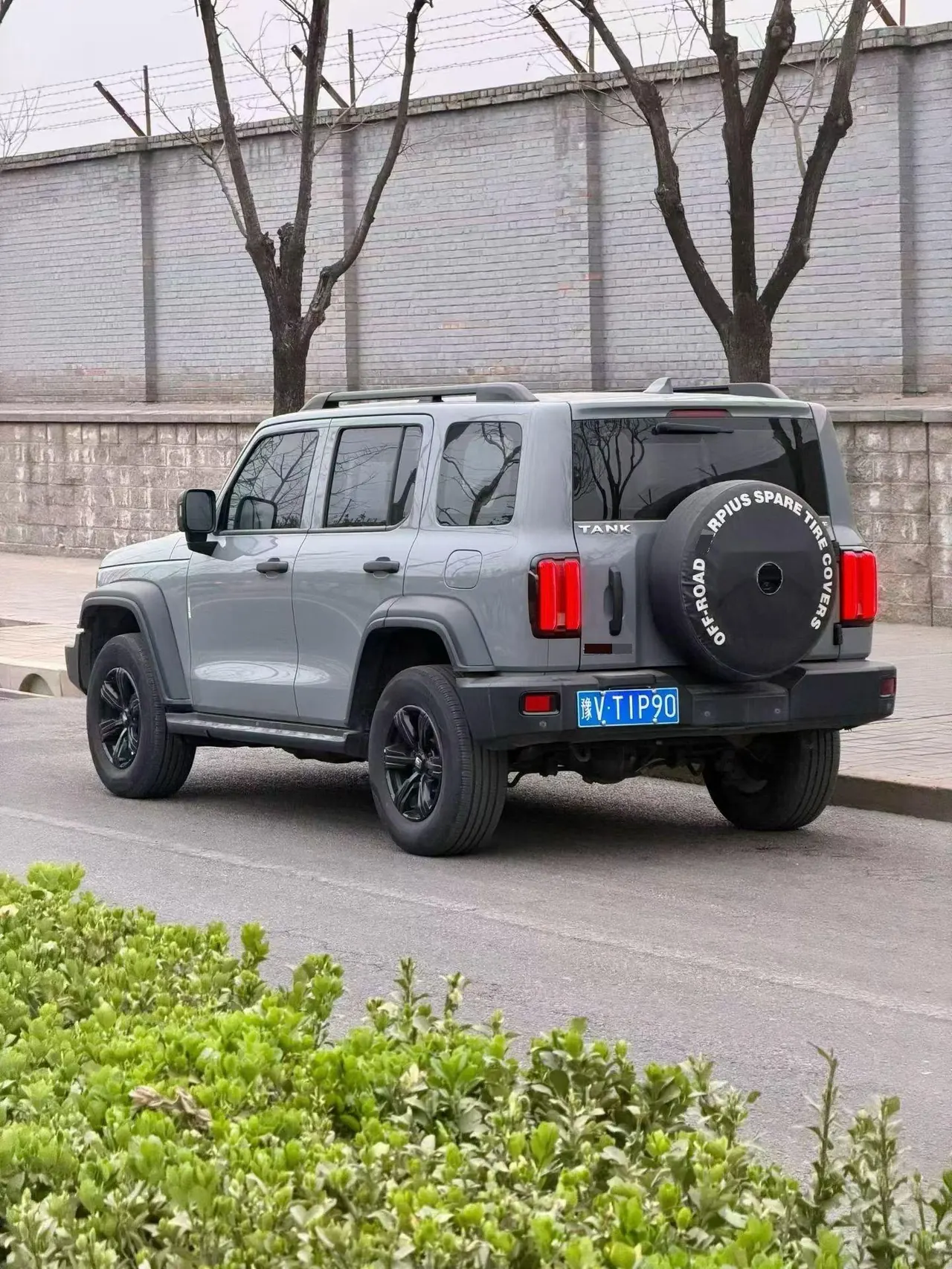 Tank 2023 Tank 300 2.0T Off-road Conqueror Automatic 2