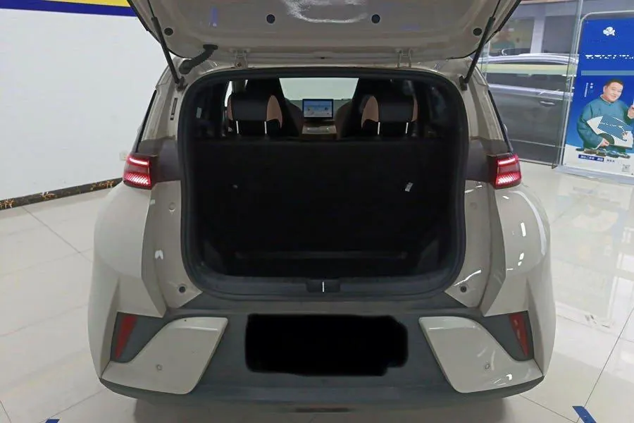 BYD 2025 seagulls 305km dynamic version of automatic gear 8
