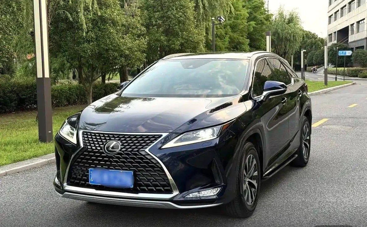 Lexus RX (Imported) 2020 RX300 2.0T Two-Drive Elite Edition (Revised) Automatic Gear - View 1